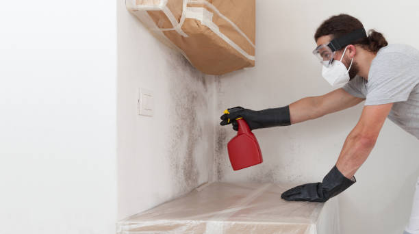 Professional Black Mold Remediation technician working in Withams, VA
